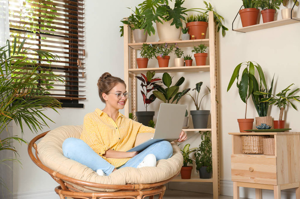 Young woman using laptop in room with different home plants - Foto, Bild