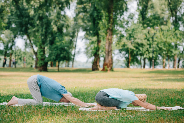 homem maduro e mulher praticando relaxamento ioga poses em tapetes de ioga no gramado
 - Foto, Imagem