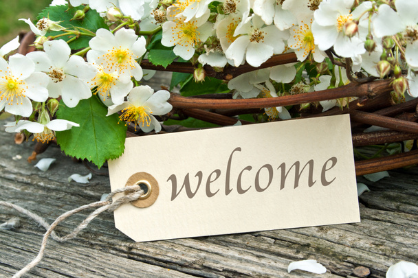Bienvenue ! - Photo, image