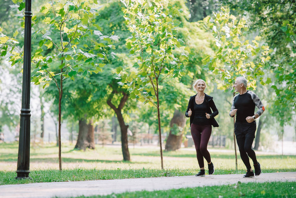 deportista maduro deportivo y deportista corriendo juntos en el parque
 - Foto, Imagen
