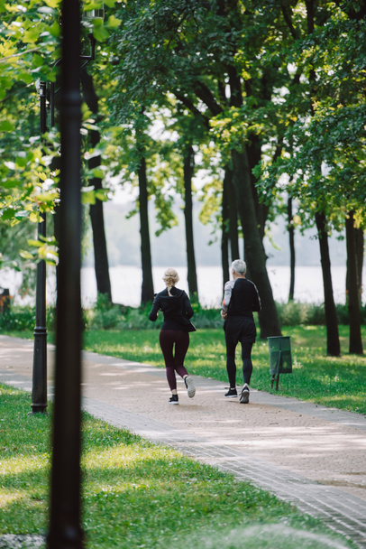 назад вид зрелого спортсмена и спортсменки, бегущей вместе в парке
 - Фото, изображение