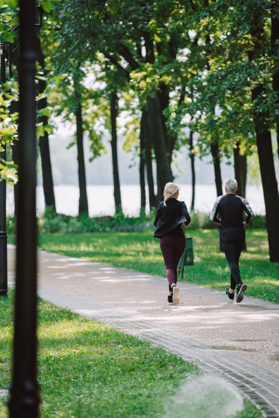 vue arrière du sportif mature et de la sportive faisant du jogging sur la chaussée dans le parc
 - Photo, image