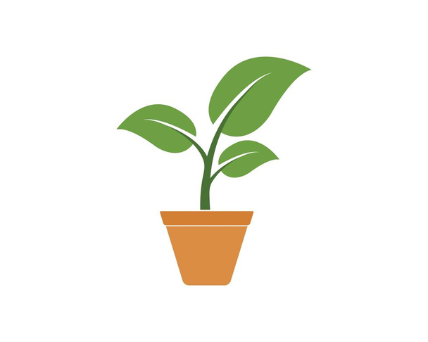 Doniczka ikona ilustracja logo projekt roślina wektor - Wektor, obraz