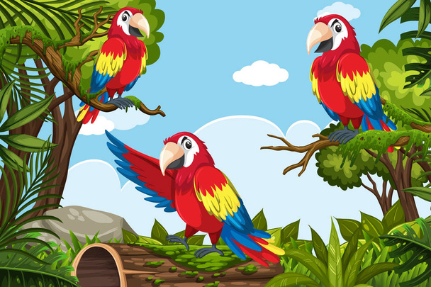 Papagájok a dzsungel jelenet - Vektor, kép