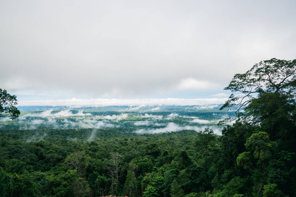Panorama vista foresta di montagna superiore. Asia Tropicale. Parco nazionale Thailandia
 - Foto, immagini