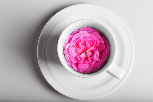 leuchtend rosa Blüten in Tasse mit Teller - Foto, Bild