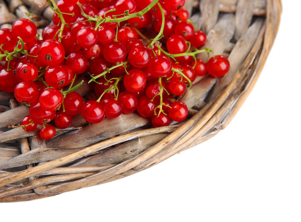 Ripe red currant isolated on white - Photo, image