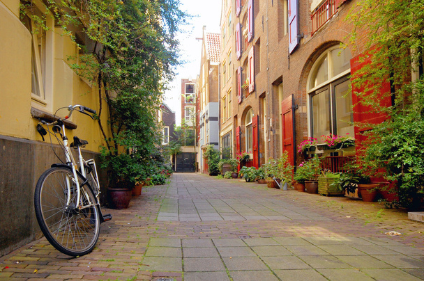 Romantic street view in Amsterdam - Zdjęcie, obraz
