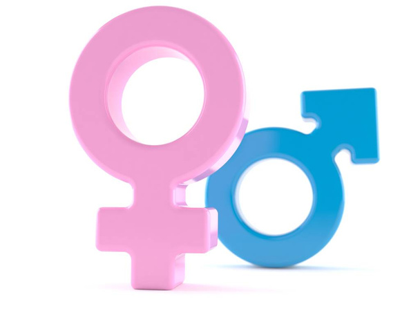 Male and female gender symbol - Photo, Image