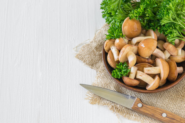 Fresh mushrooms in a clay bowl on a white table with a knife. The view from the top. - Photo, Image