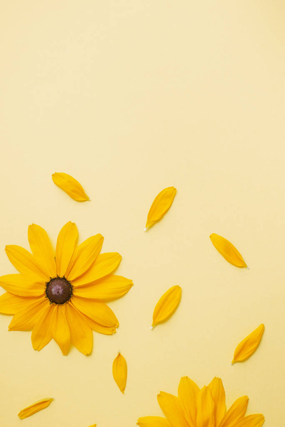 Creative composition with flowers. Yellow flowers represented on yellow background. Summer and autumn concept. Flat lay, top view, copy space - Fotoğraf, Görsel