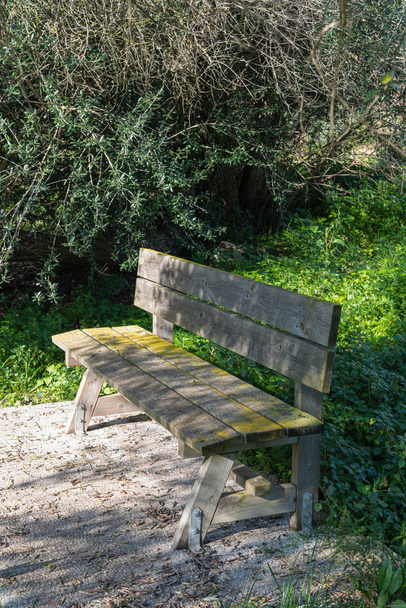 Old park bench with leafy green grass all around - Foto, afbeelding