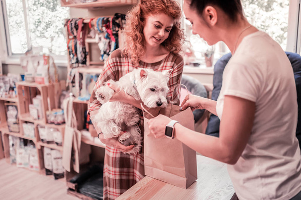 Perro mirando en el bolso mientras compra en tienda de mascotas con el propietario
 - Foto, Imagen