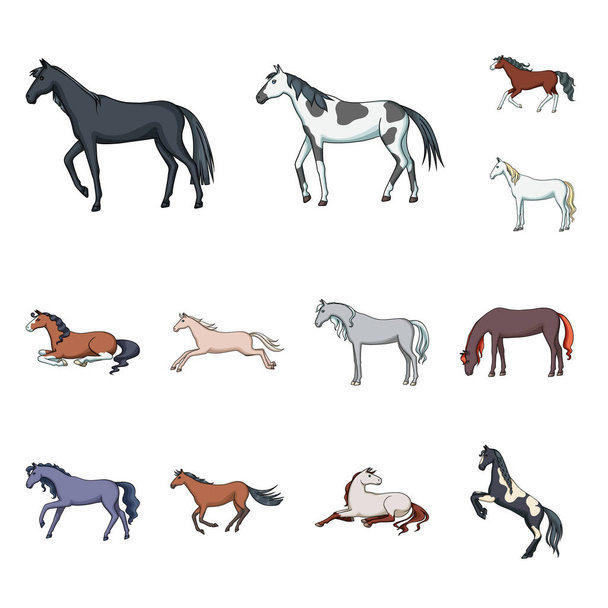 Isolated object of animal and stallion icon. Collection of animal and farm stock vector illustration. - Vetor, Imagem