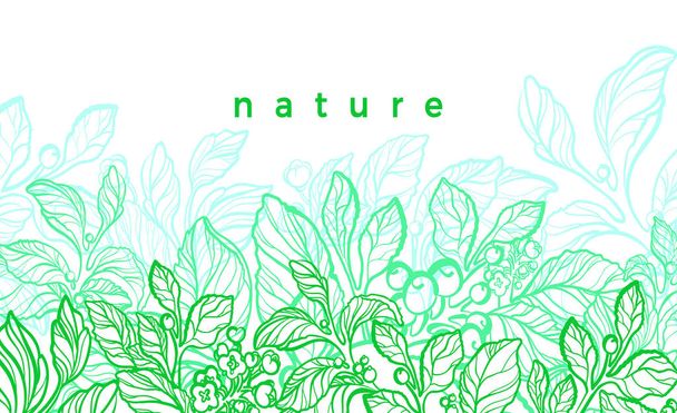 Vector nature card. Graphic illustration, botanical plant. Green mate branch - Vector, afbeelding