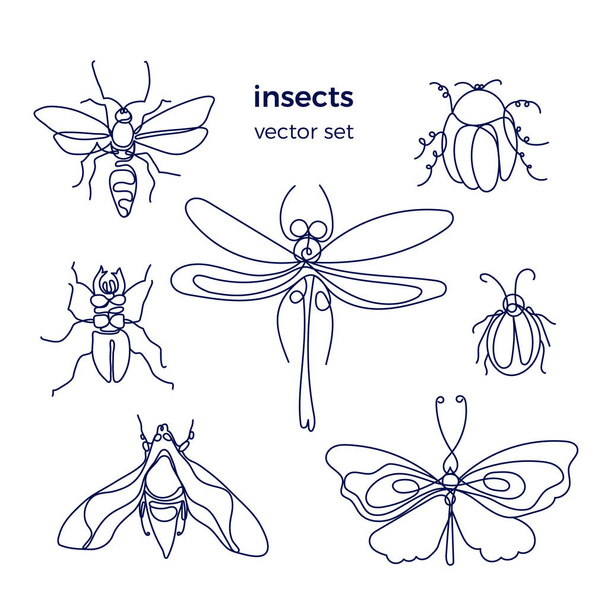 Insect. Bee, bug, moth, dutterfly. Vector set  - Vektor, Bild