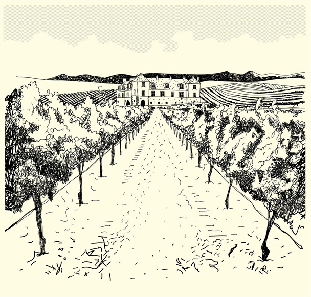 wijngaard en kasteel - Vector, afbeelding
