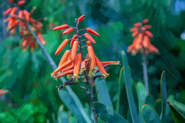 yeşil yaprakları ile boyalı kırmızı çiçekaçan çiçeklerseçici odak  - Fotoğraf, Görsel