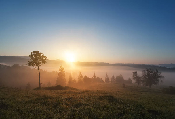 krásná krajina s horským vesidním a ranní mlhou na slunci - Fotografie, Obrázek