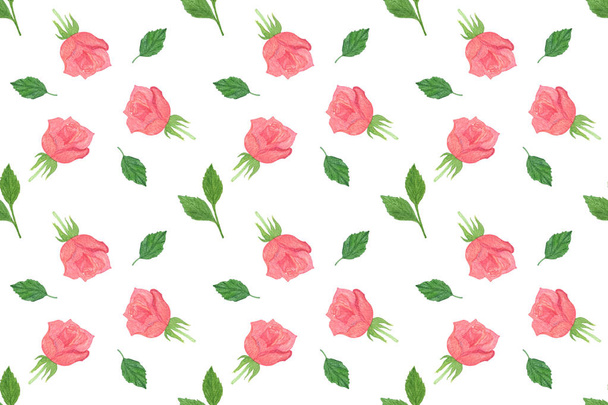 Flor de rosa roja, composición floral dibujada a mano en la espalda blanca
 - Foto, imagen