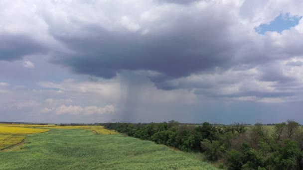 Pola rolnicze na pochmurne niebo. Możesz zobaczyć, jak pada deszcz z chmury. Widok z lotu ptaka - Materiał filmowy, wideo