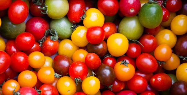 Different colorful cherry tomatoes - Foto, imagen