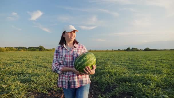 Woman farmer carries a ripe watermelon in hands - Footage, Video