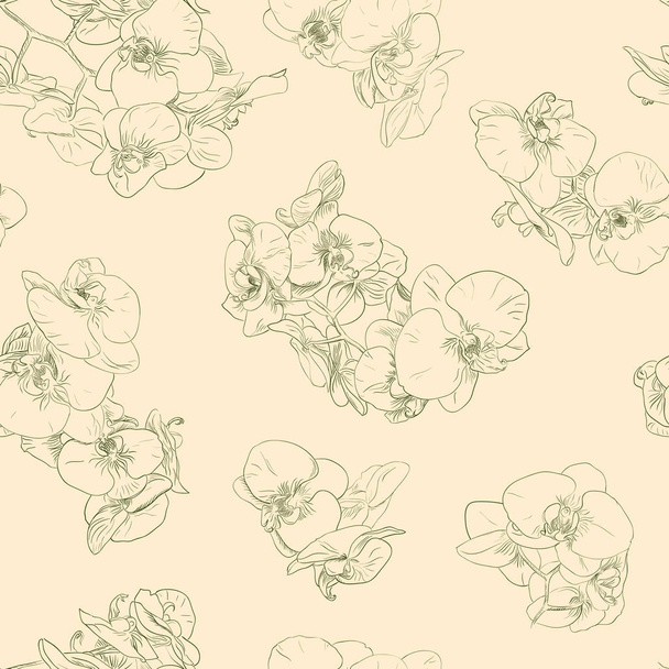 Flowers seamless pattern background line illustration orchids. Floral elements. - Vector, Image
