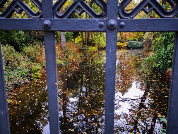 Park pond covered with autumn leaves, view through bridge railin - Photo, Image