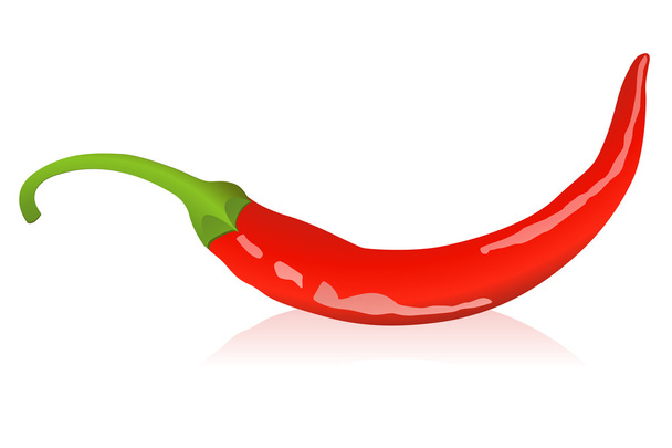 chilli - Vektor, obrázek