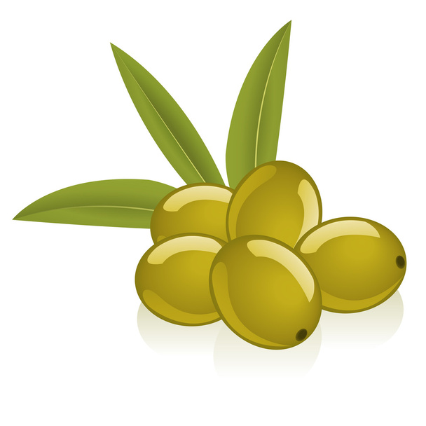 Оливки й маслини
 - Вектор, зображення