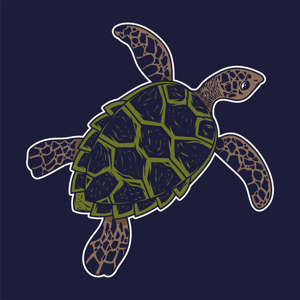 großes Meer Ozean wilde Tiere Schildkröte - Vektor, Bild