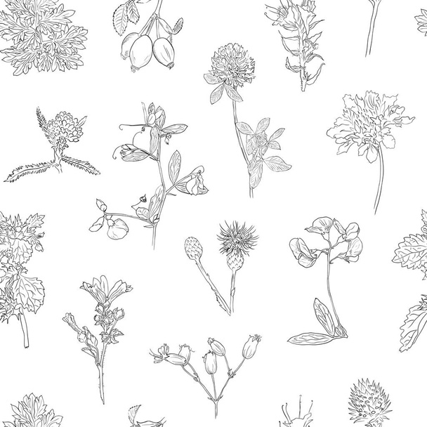 Wildflowers çilek dikişsiz desen El çizilmiş vektör botanik illüstrasyon Arka plan dogrose, burdock, otlar - Vektör, Görsel
