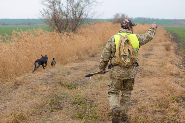 Hunter ase ja koira mennä ensilumen arolla, Metsästys fasaani heijastava liivi
 - Valokuva, kuva