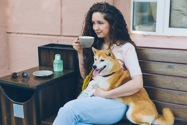 Young lady drinking tea hugging shiba inu dog outdoors in cafe sitting on bench - Fotó, kép