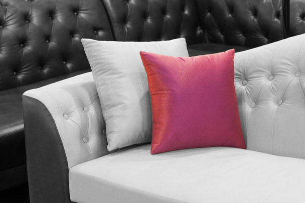 White leather sofa is a beautiful backdrop. - Zdjęcie, obraz
