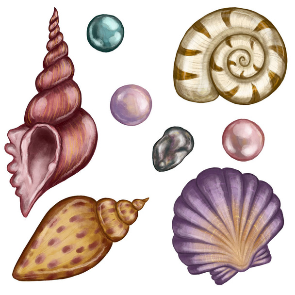 Sea shells and pearls vintage style collection isolated on white background. Set of sealife elements, that can be used for postcards design, scrapbooking etc. - Foto, Bild
