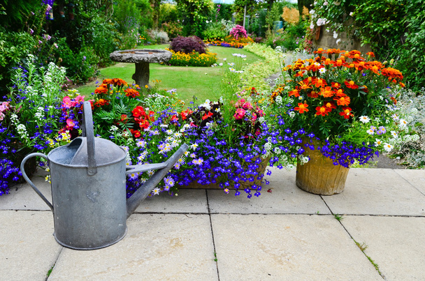 Summer flowers on the patio - Photo, Image