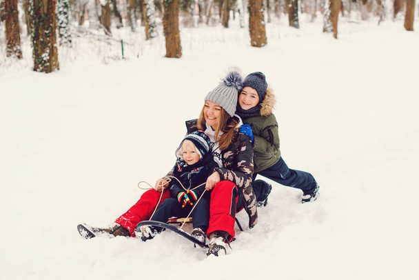 Familia feliz conduciendo trineo en la nieve. Madre y sus hijos se divierten en el parque de invierno. Vacaciones de invierno y Navidad
. - Foto, Imagen