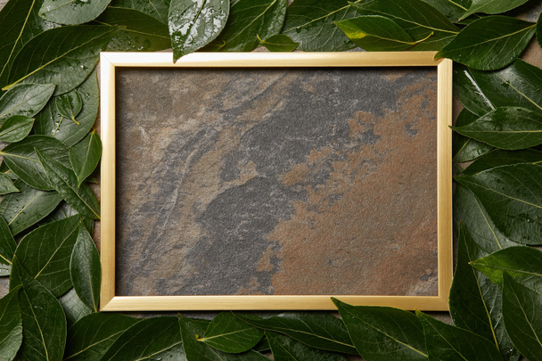 marco dorado vacío sobre fondo de piedra con espacio de copia y hojas verdes húmedas
 - Foto, Imagen