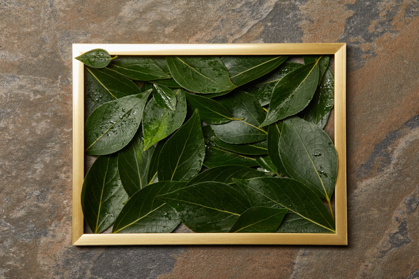 marco dorado con hojas húmedas verdes sobre fondo de piedra
 - Foto, Imagen