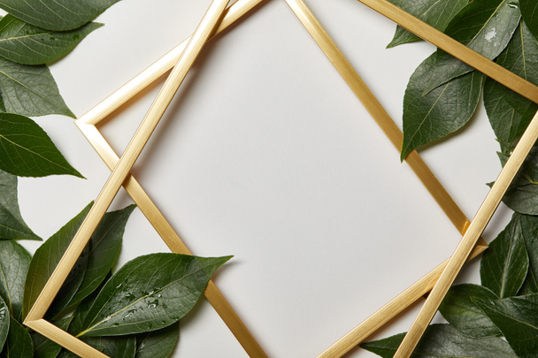 marcos dorados vacíos sobre fondo blanco con espacio de copia y hojas húmedas verdes
 - Foto, Imagen
