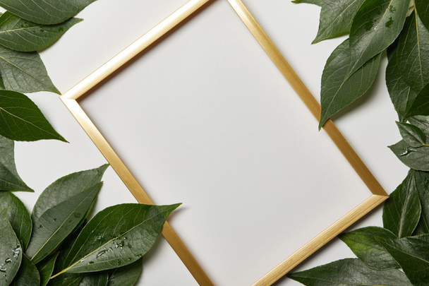 marco dorado vacío con espacio de copia y hojas verdes aisladas en blanco
 - Foto, Imagen