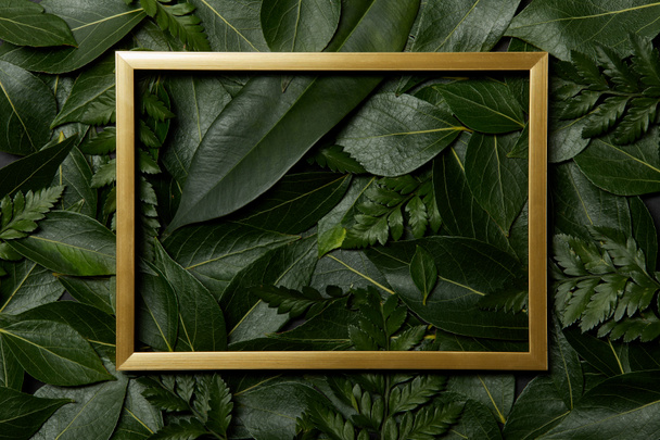 vista superior del marco dorado sobre el fondo de las hojas frescas
 - Foto, Imagen