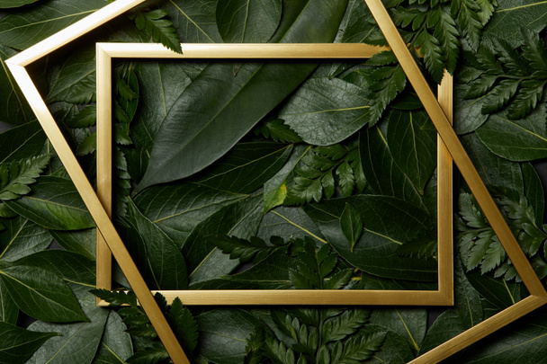 vista superior de marcos dorados sobre fondo de hojas verdes
 - Foto, Imagen