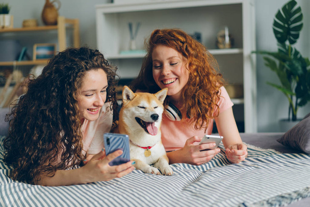 Beautiful women using smartphones and caressing dog lying on bed - Foto, immagini