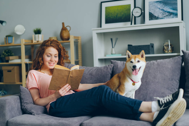 Attractive girl reading book and stroking shiba inu puppy on couch in flat - Foto, Bild