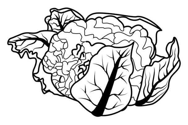 bloemkool icon cartoon zwart-wit - Vector, afbeelding