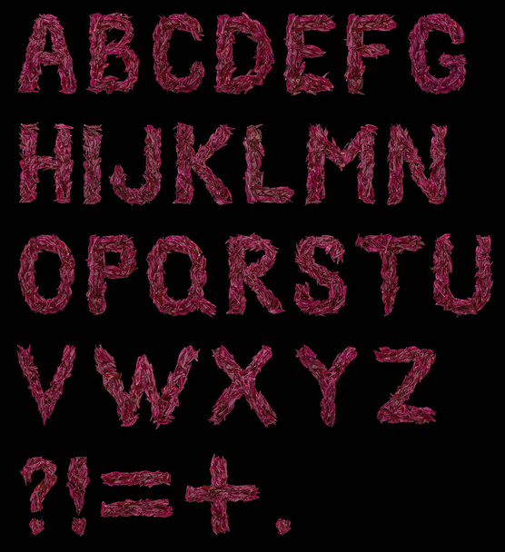 ABC, the alphabet of red, dark pink and green flower petals. alphabet of petals of peonies. letters and symbols. - Fotó, kép