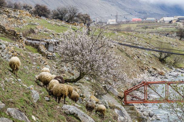 Bewolkt landschap van de berg in Upper Balkarië, Kaukasus, ka - Foto, afbeelding